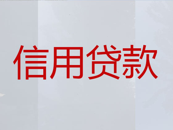 文山抵押贷款公司-银行信用贷款